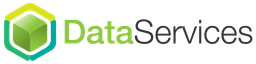 dataservices.com logo